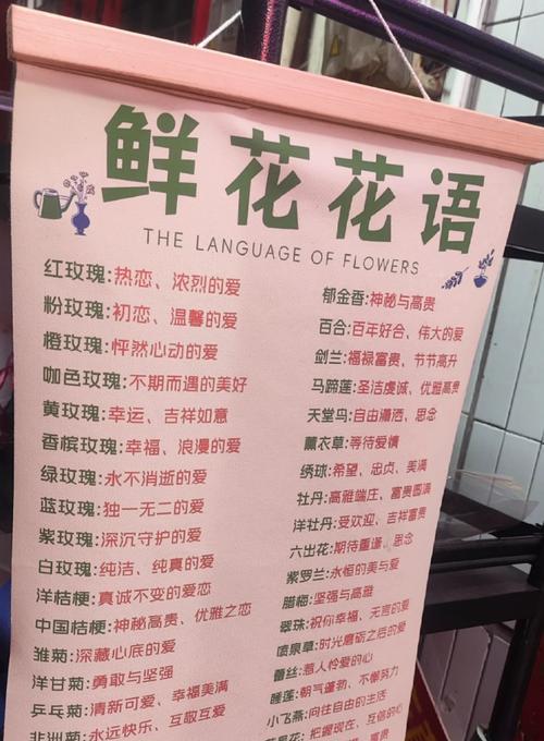 11月3号对应的花语是什么？11月3号的花语有何特别含义？