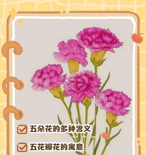 粉色的珍妮花语有何特殊含义？