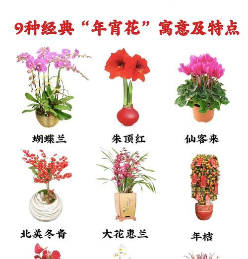 哪种花的花语寓意最不吉利？它代表了什么？