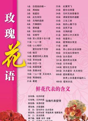 黑魔玫瑰的花语是什么？黑魔玫瑰代表了什么？