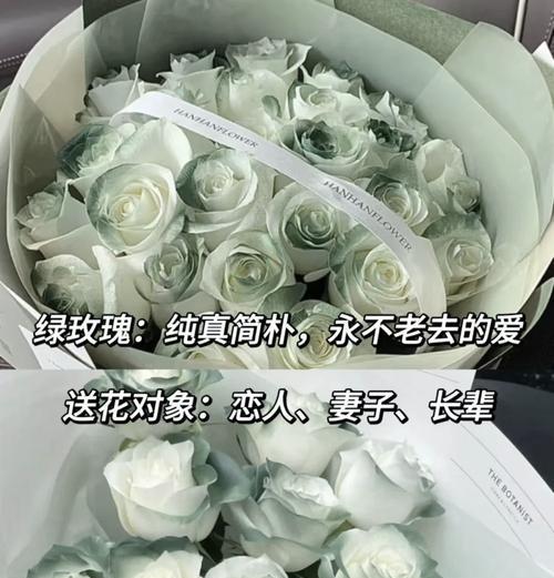 情人节适合送哪种玫瑰花？玫瑰花语如何选择？