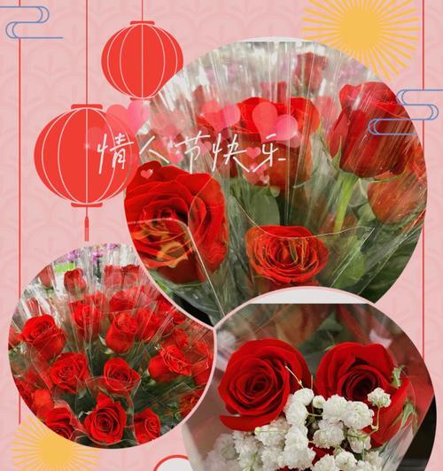 情人节适合送哪种玫瑰花？玫瑰花语如何选择？