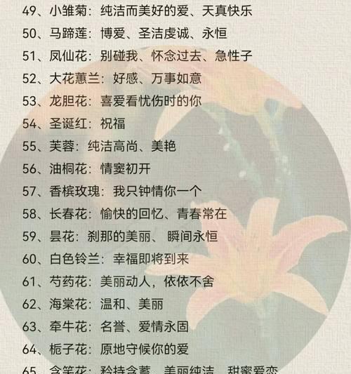 情人节适合送哪种玫瑰花？玫瑰花语如何选择？