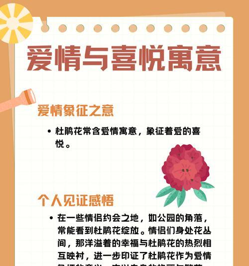 哪种花朵的花语是陪伴？它如何表达这种情感？