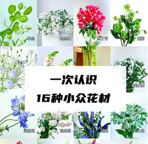 哪些花语是小众而独特的？