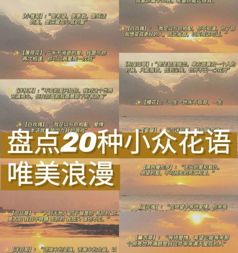 哪些花语是小众而独特的？