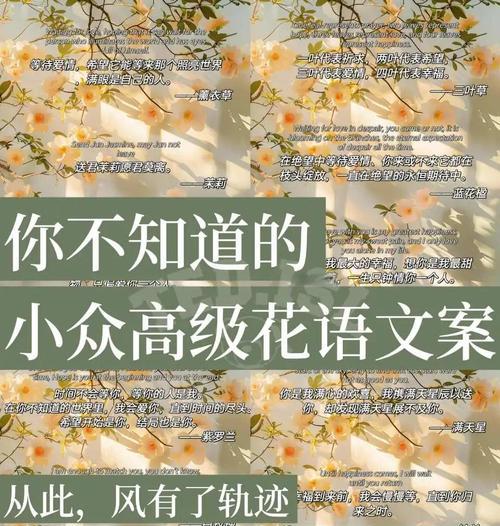 哪些花语是小众而独特的？