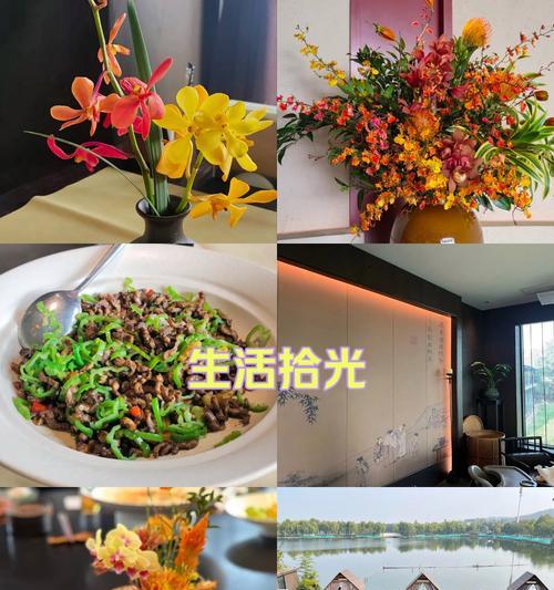 兰花的花语和寓意是什么？如何正确理解兰花的含义？
