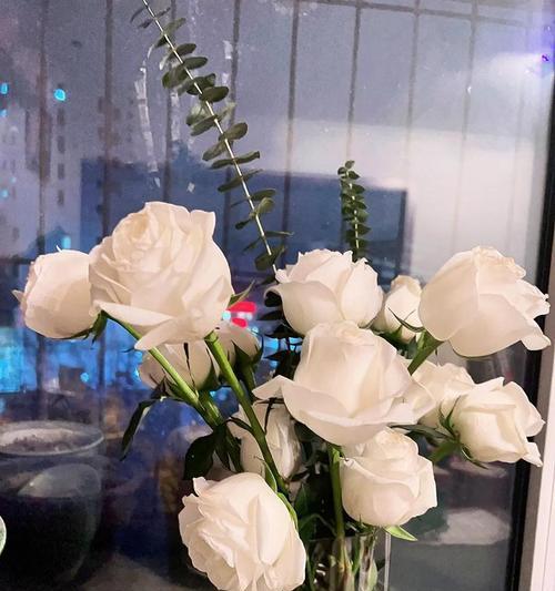 白玫瑰的花语有哪些含义？