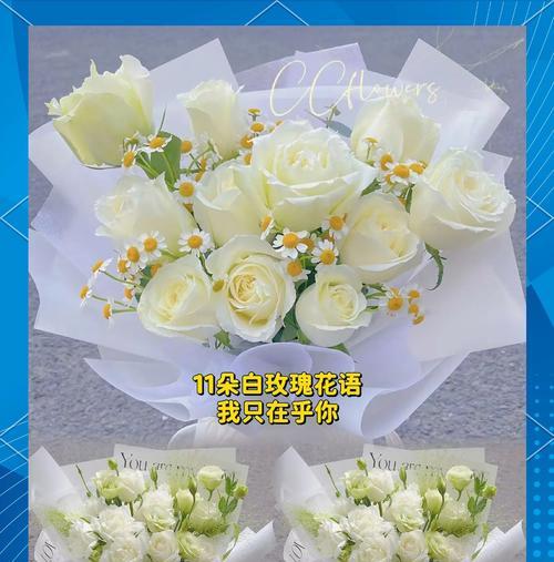 白玫瑰的花语有哪些含义？