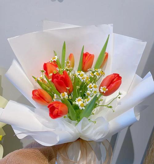 洋甘菊与郁金香的花语有何不同？它们各自代表什么？