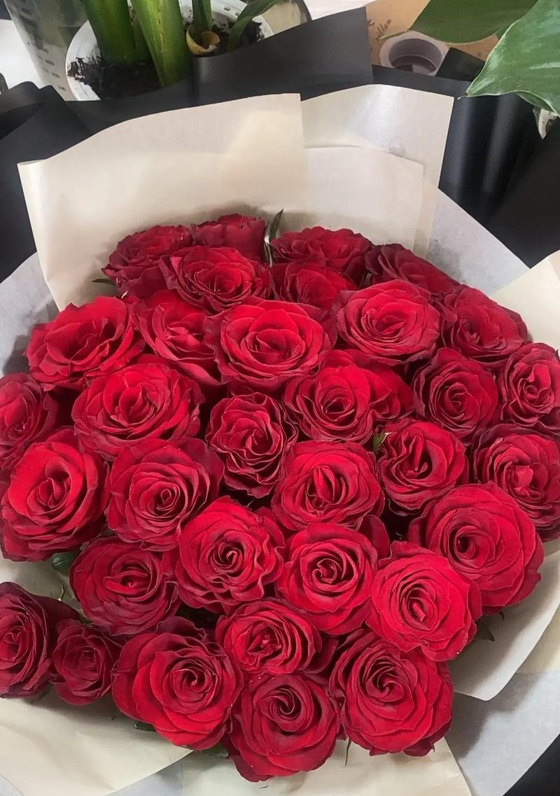 送玫瑰花求爱什么意思啊？玫瑰花代表的求爱心意是什么？