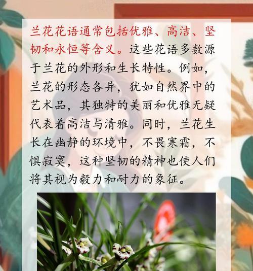 成串兰花的花语具体指什么？