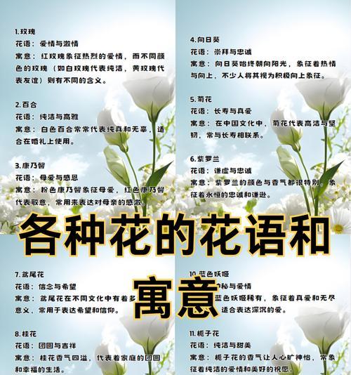 漂白白玫瑰的花语有何不同？漂白白玫瑰代表什么意义？