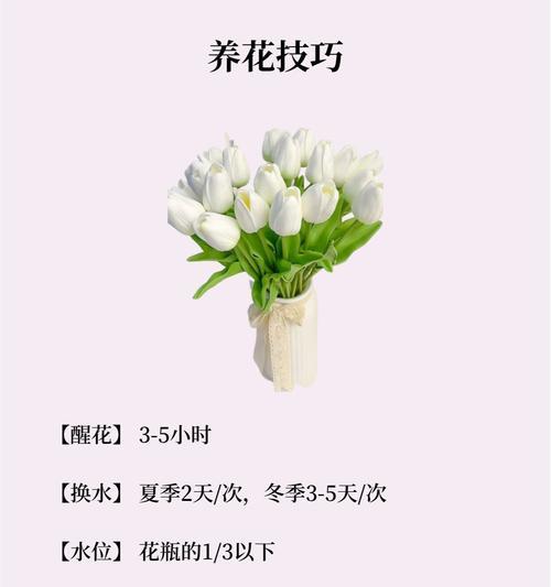 花最浪漫的花语是什么意思？哪种花语最能代表浪漫？