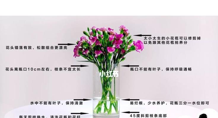 飘香藤上盆的最佳时间是什么时候？如何正确养护？
