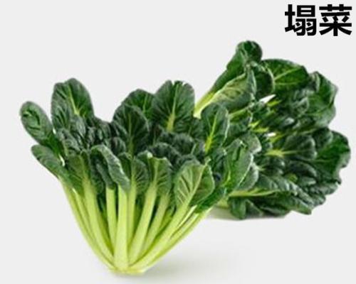 瓢儿菜又叫什么名字？它有哪些别称和用途？