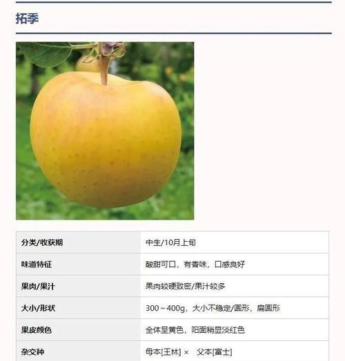 苹果如何正确保存？最佳保存温度是多少？