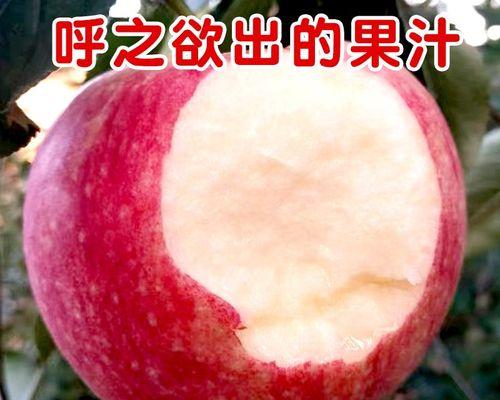 苹果榨汁搭配什么好喝？最佳搭配推荐是什么？