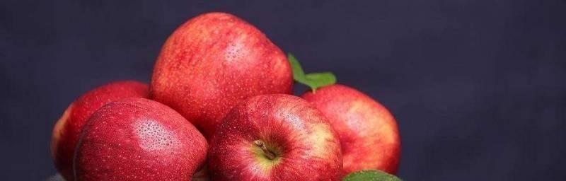 苹果的保存最佳方法是什么？如何延长苹果的新鲜期？