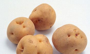 苹果不能与什么食物搭配？了解食物相克的常见问题！