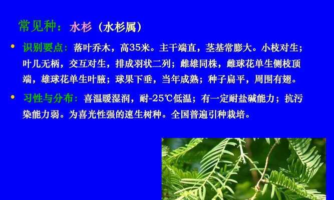 苹果属于裸子植物吗？常见误解有哪些？