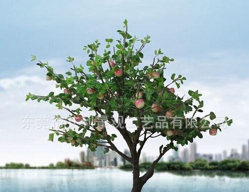 苹果树喜欢太阳吗？光照对苹果树生长的影响是什么？