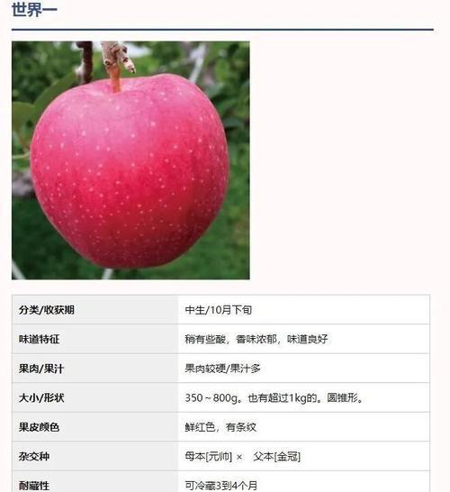 苹果树种植时间是什么时候？生长周期有哪些阶段？
