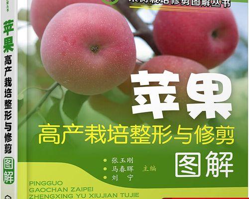 苹果树剪枝修剪方法有哪些？技术要点是什么？