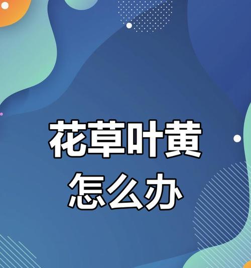 植物叶子发黄怎么办？如何预防？