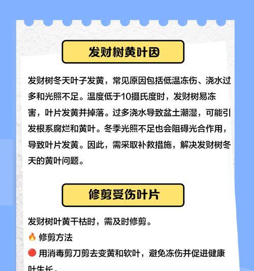 植物叶子发黄怎么办？如何预防？