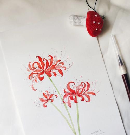 彼岸花花期与观赏指南是什么？