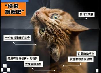 云养殖是什么？如何参与云养殖？