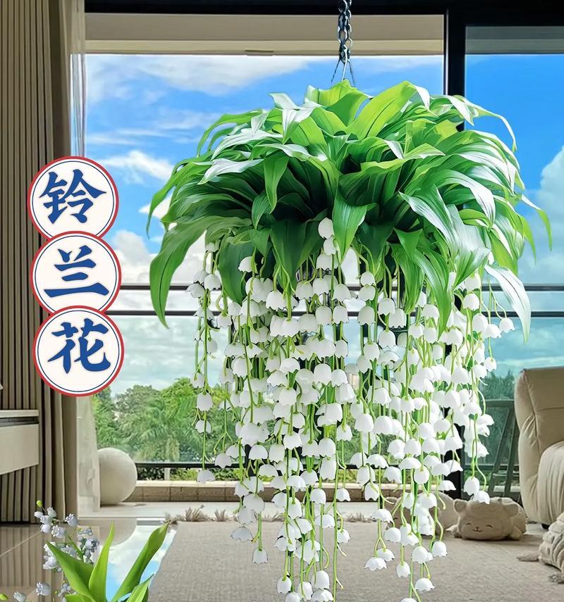 有哪些绝美的花卉值得推荐？如何打造一个美丽的植物清单？