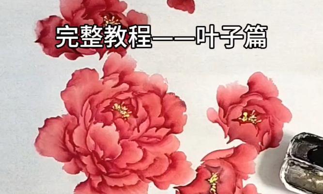 牡丹花小叶子的构造是怎样的？