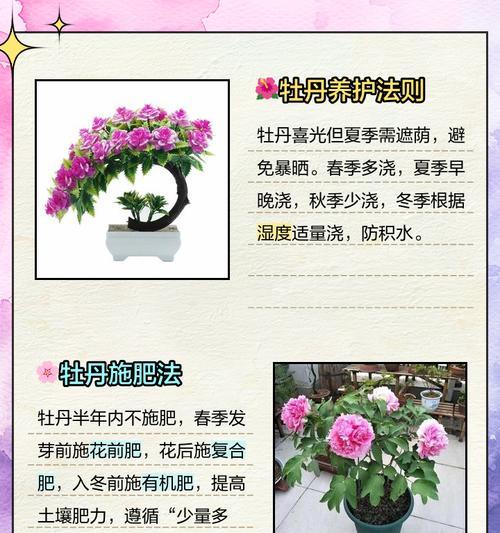 牡丹花嫁接苗的正确种植步骤？