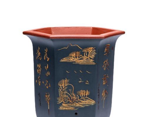 君子兰陶花盒的养护与保养技巧？
