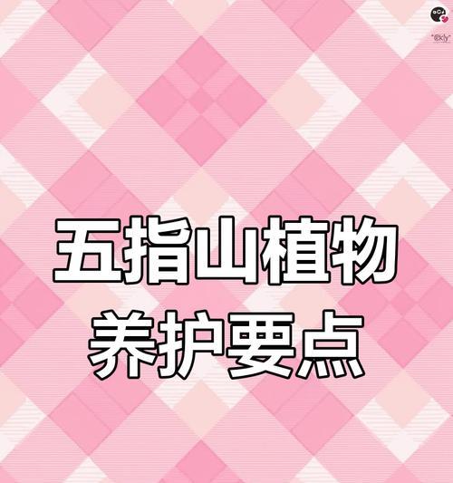 仙人掌爆盆的秘诀是什么？如何正确养护？