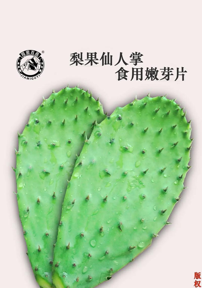 仙人掌嫩芽煲汤的做法是什么？需要注意什么？