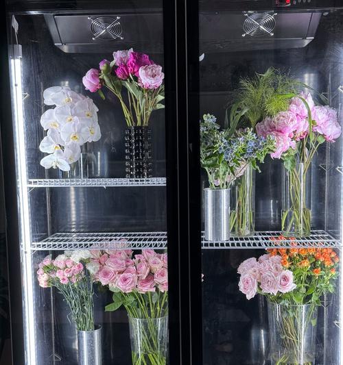 花店玫瑰花保鲜秘诀是什么？