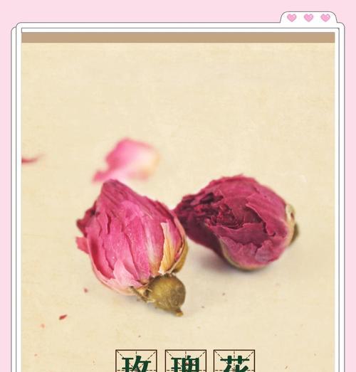 玫瑰花保鲜最佳温度是多少？