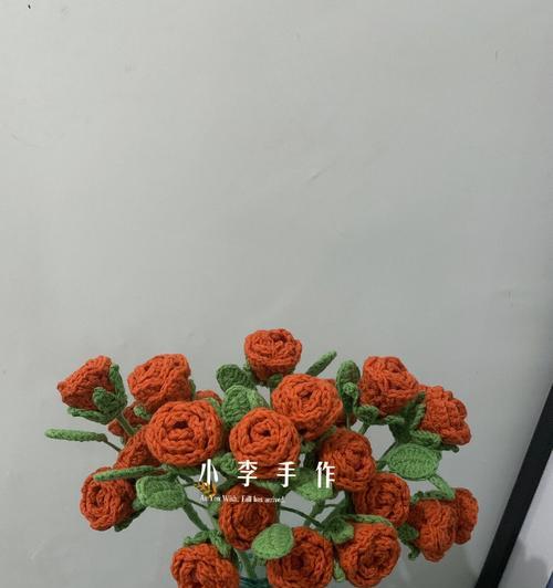 芭比玫瑰花小盆栽养护指南？