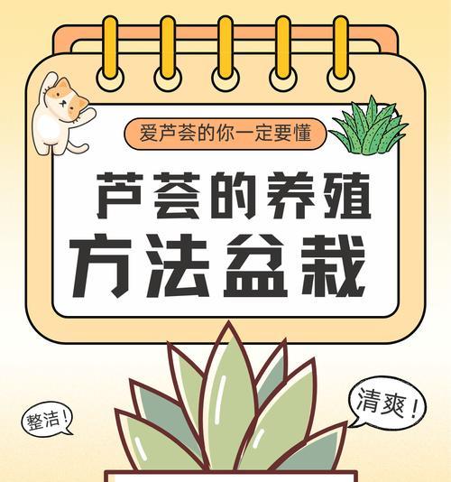 在日本芦荟的花语是什么？它在文化中有何特殊含义？
