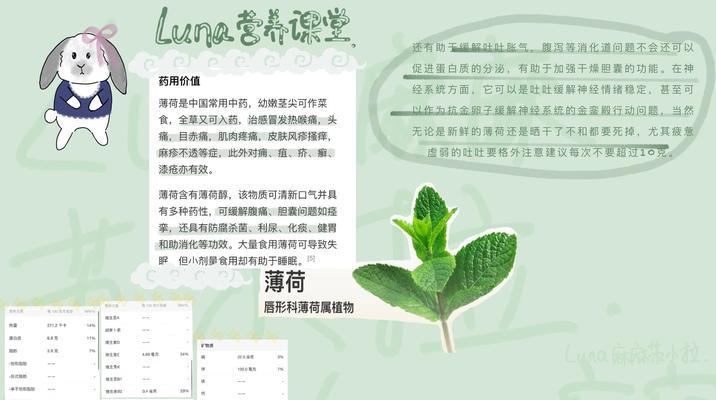 薄荷花的花语代表什么？