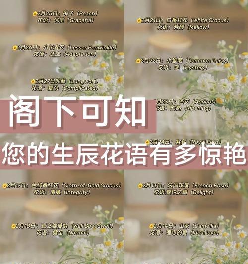 10月10日生日花的花语是什么？