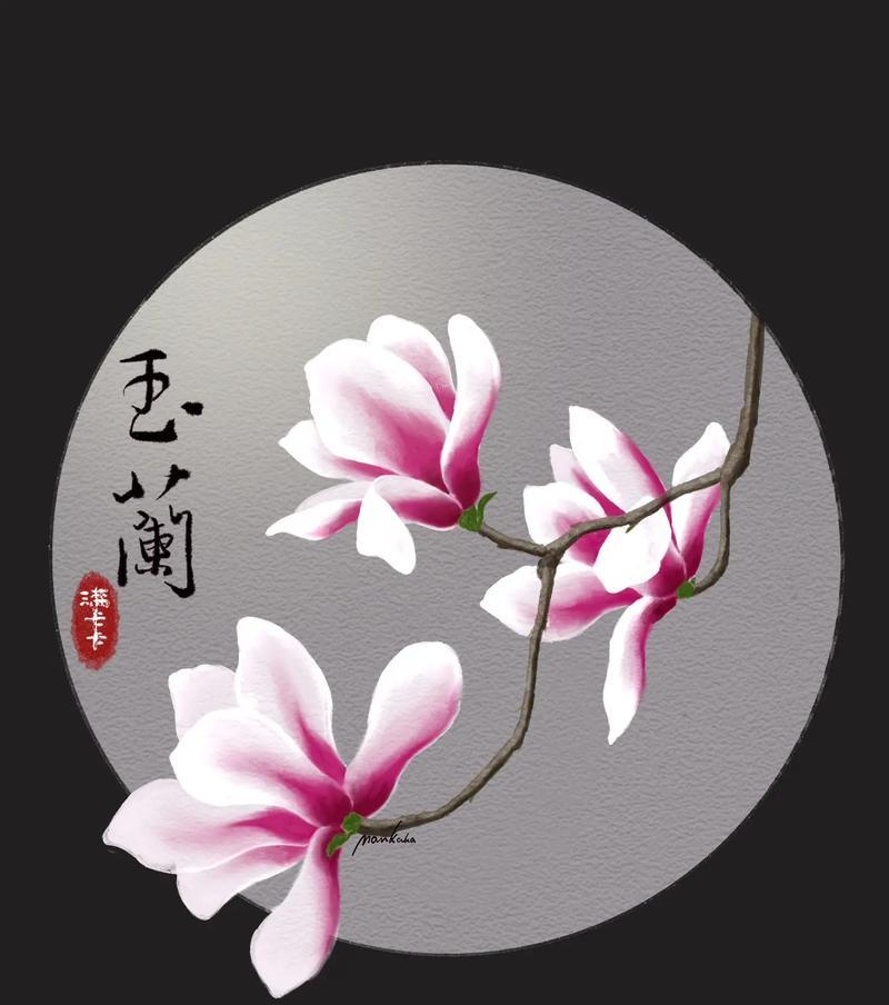 玉兰花不同颜色的花语分别代表什么？