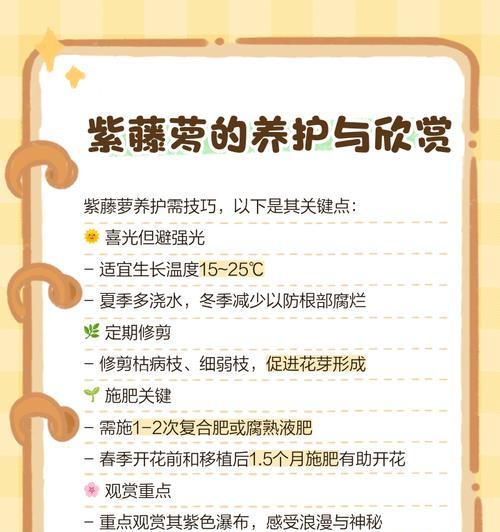 紫藤花的花语是什么？