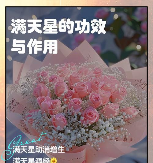 满天星的花语及其寓意是什么？