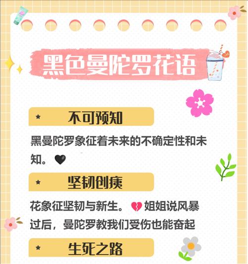 寓意美好的花有哪些？这些花的花语是什么？