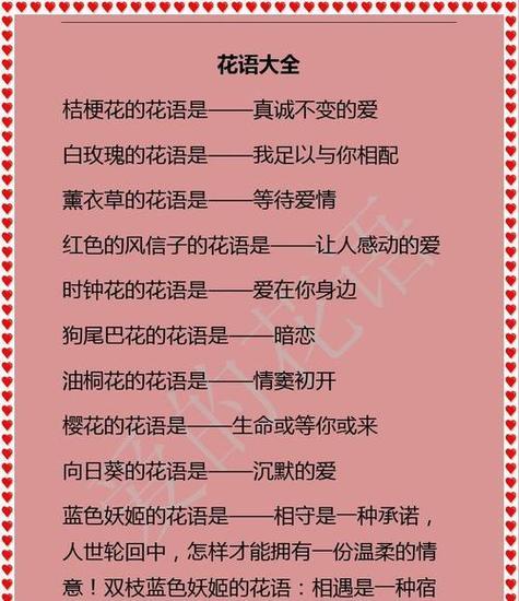 寓意美好的花有哪些？这些花的花语是什么？